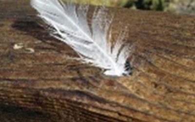 Erinnerungsfeier für die Verstorbenen unserer Pfarrei